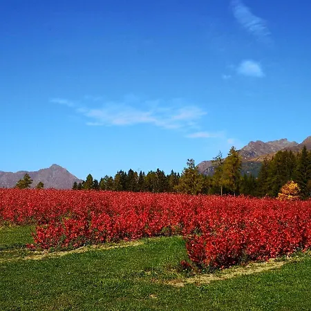 Lasshofer * Mariapfarr