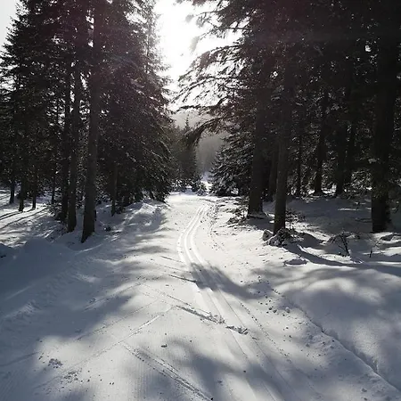 Apartmán Lasshofer Mariapfarr