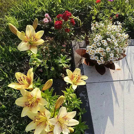 Lasshofer Apartmán Mariapfarr