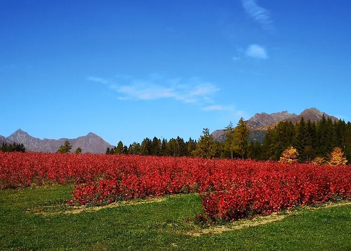 Lasshofer * Mariapfarr