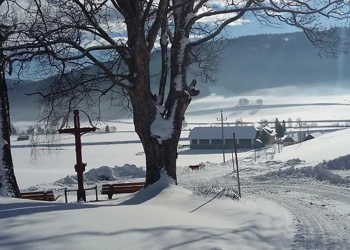 Lasshofer Apartment Mariapfarr