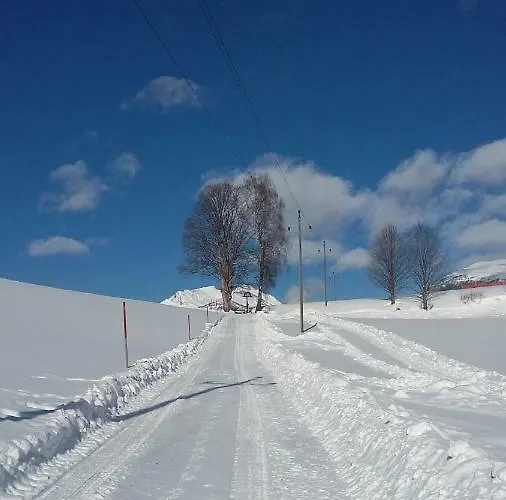 Apartment Lasshofer Mariapfarr