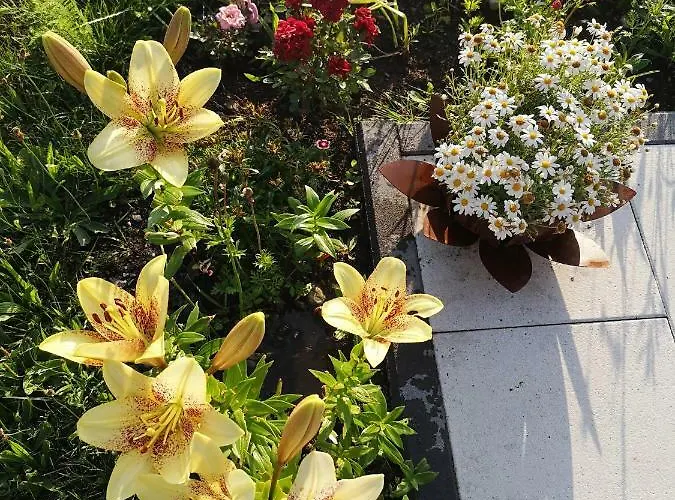 Lasshofer Apartment Mariapfarr